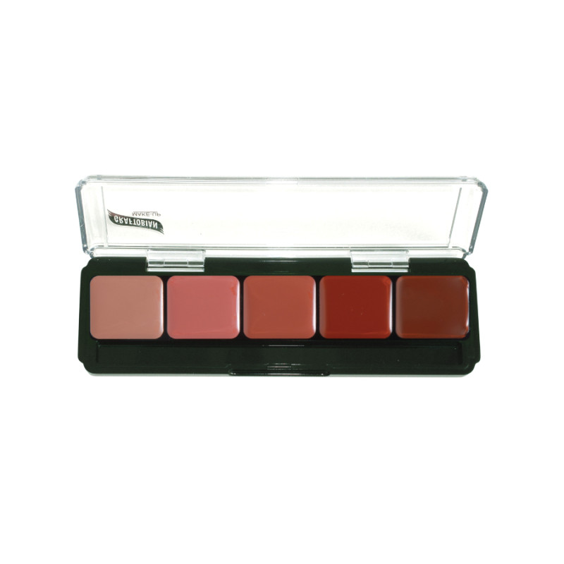 LIPCOLOR PALETTE 5 CLR